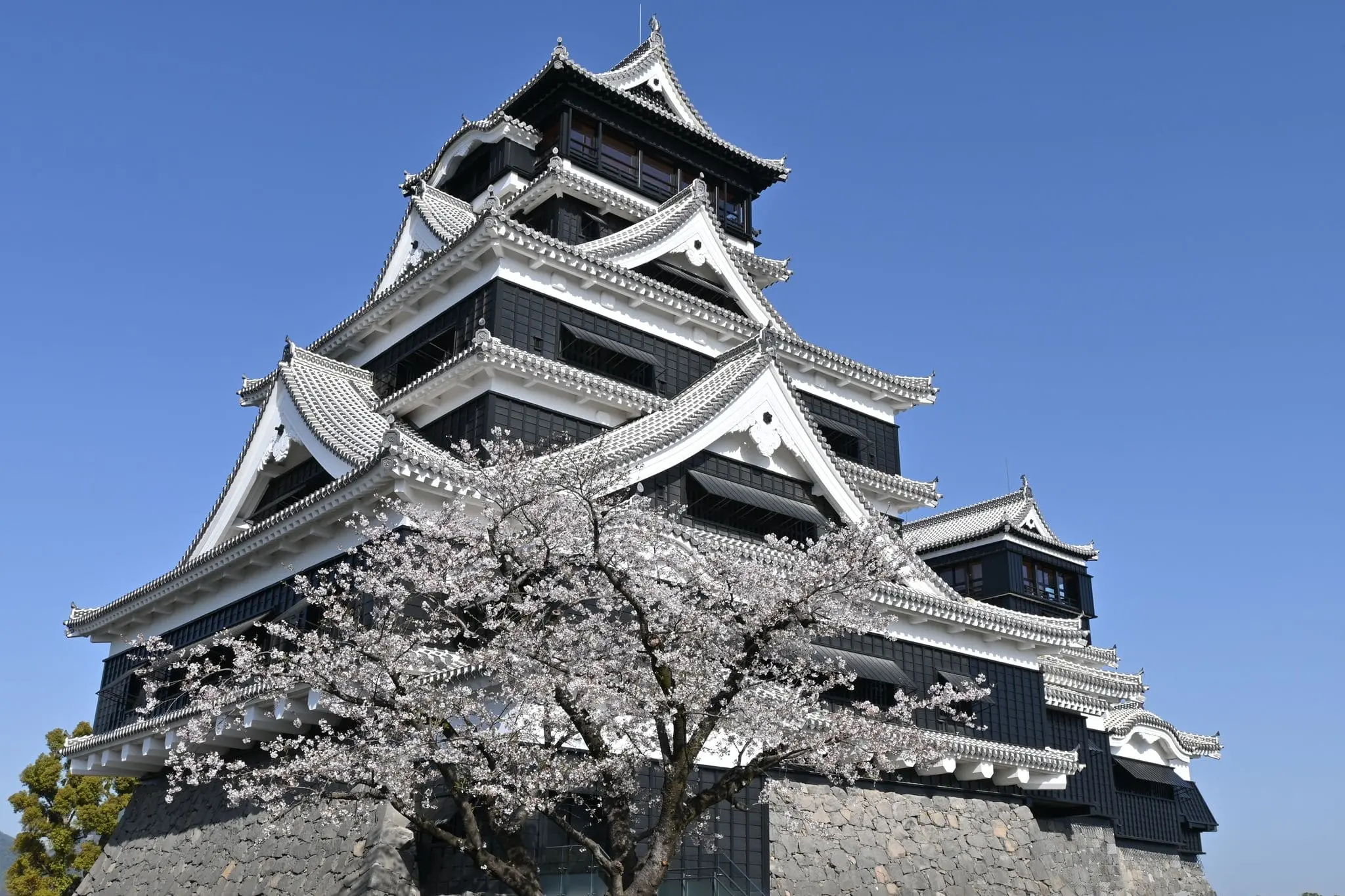 熊本市