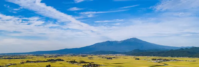 酒田市